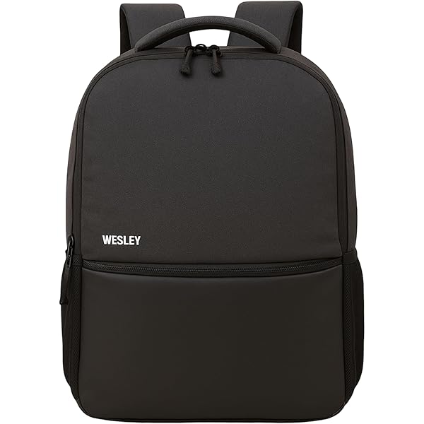 Buy Wesley Zeus Usb charging Travel Laptop Backpack with 15.6 inch